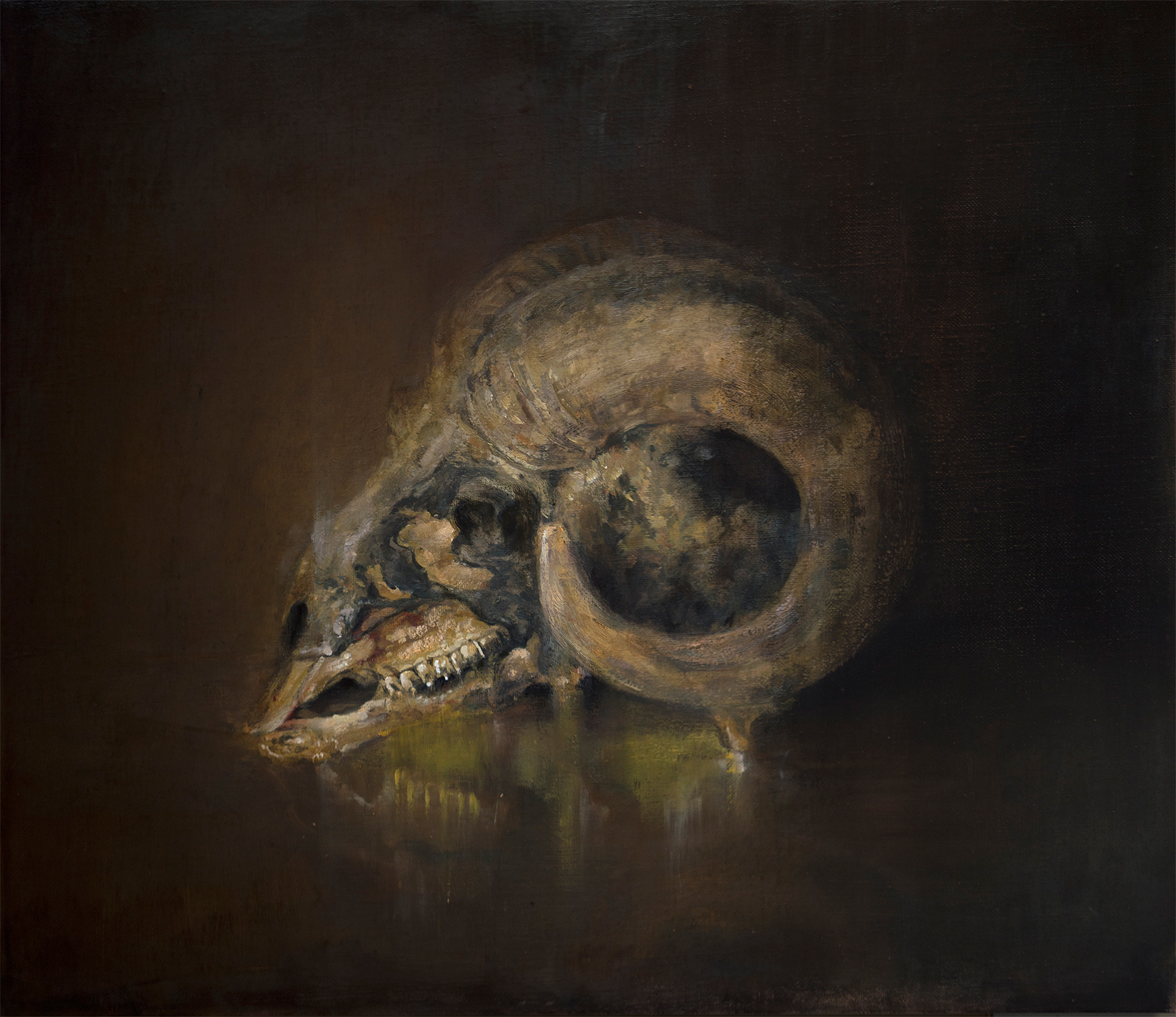 Goat Skull